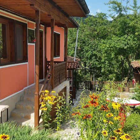 Mechta Guest House Koprivştitsa Dış mekan fotoğraf